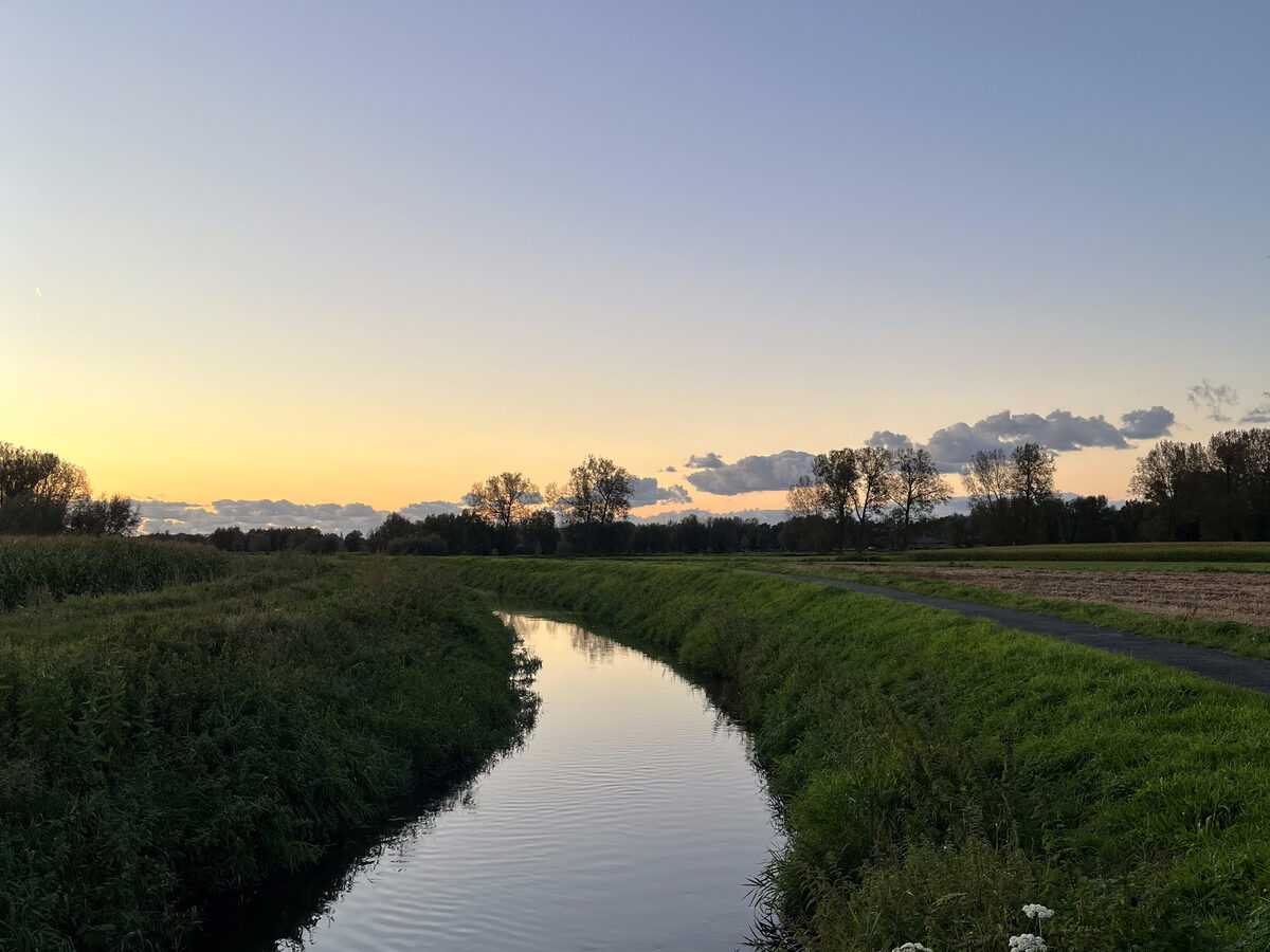 Stille gracht bij zonsondergang, met een eend op het water