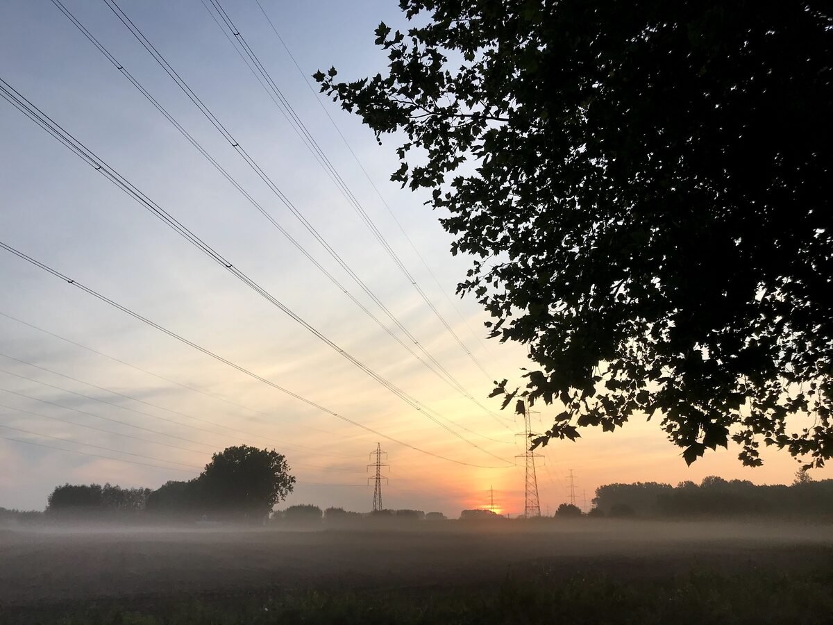 Ochtendmist boven de velden bij zonsopgang, met een boom op de voorgrond