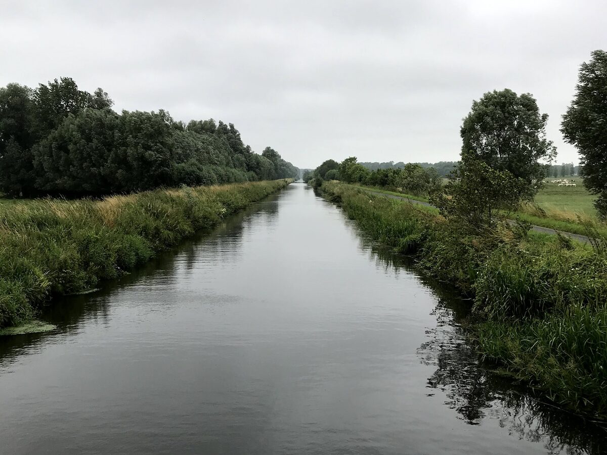 Rechte waterloop met groene oevers en bomen op een grijze dag