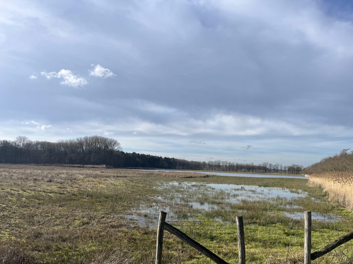 Weide met ondergelopen gras en een houten omheining onder een wolkenlucht