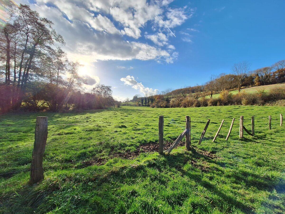Zonnig weiland met een houten omheining en bomen op de achtergrond